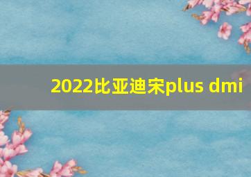 2022比亚迪宋plus dmi